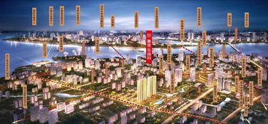 誰(shuí)在不斷刷新廈門(mén)品質(zhì)樓盤(pán)新高度 增值潛力的暗邏輯