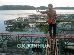 橫縣水產(chǎn)養(yǎng)殖業(yè)蓬勃發(fā)展，畜牧漁業(yè)飼料行業(yè)迎來新機(jī)遇