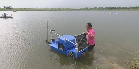 全自動(dòng)智能投放飼料設(shè)備 開啟畜牧漁業(yè)養(yǎng)殖新篇章